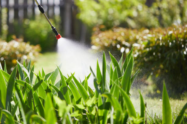 24/7 Emergency Termite Control experts in Hazard, KY