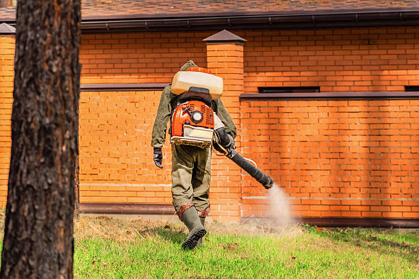Top rated local Termite Control specialists in Hazard, KY